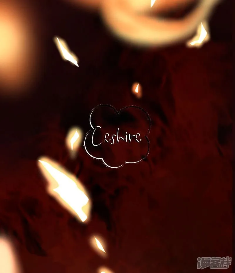 A Contract Of Feelingless CEO Capítulo 17 en Línea - página 17