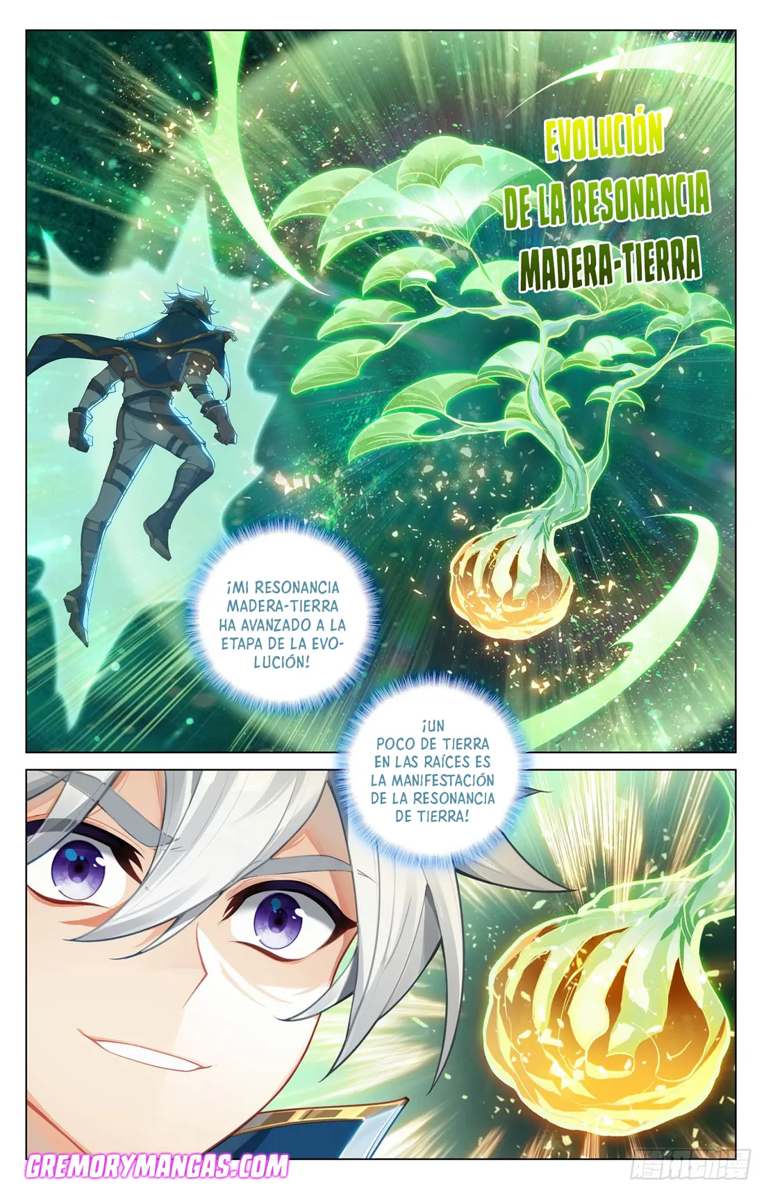 Absolute Resonance Capítulo 243 en Línea - página 8