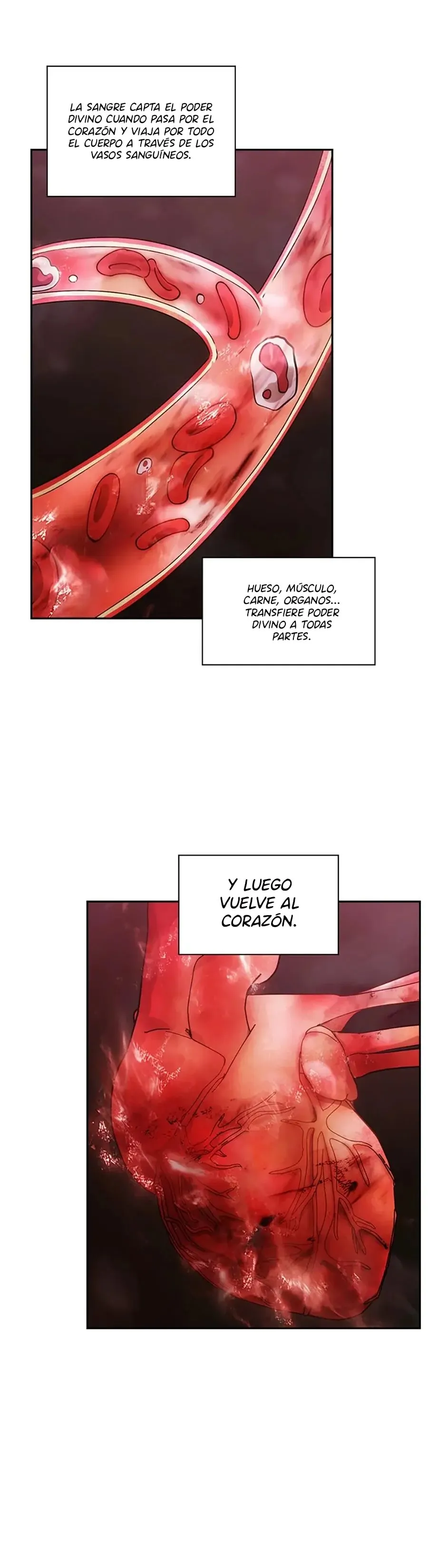 ADONIS Capítulo 130 en Línea - página 12