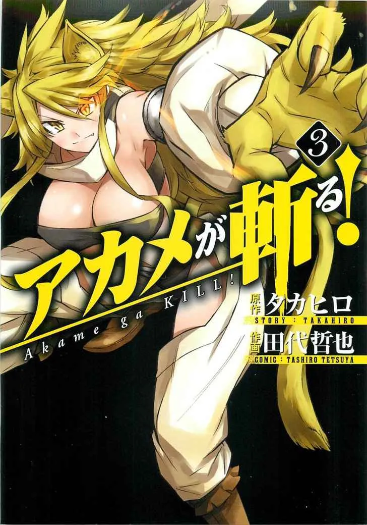 Akame ga Kill! Capítulo 10 en Línea - página 1