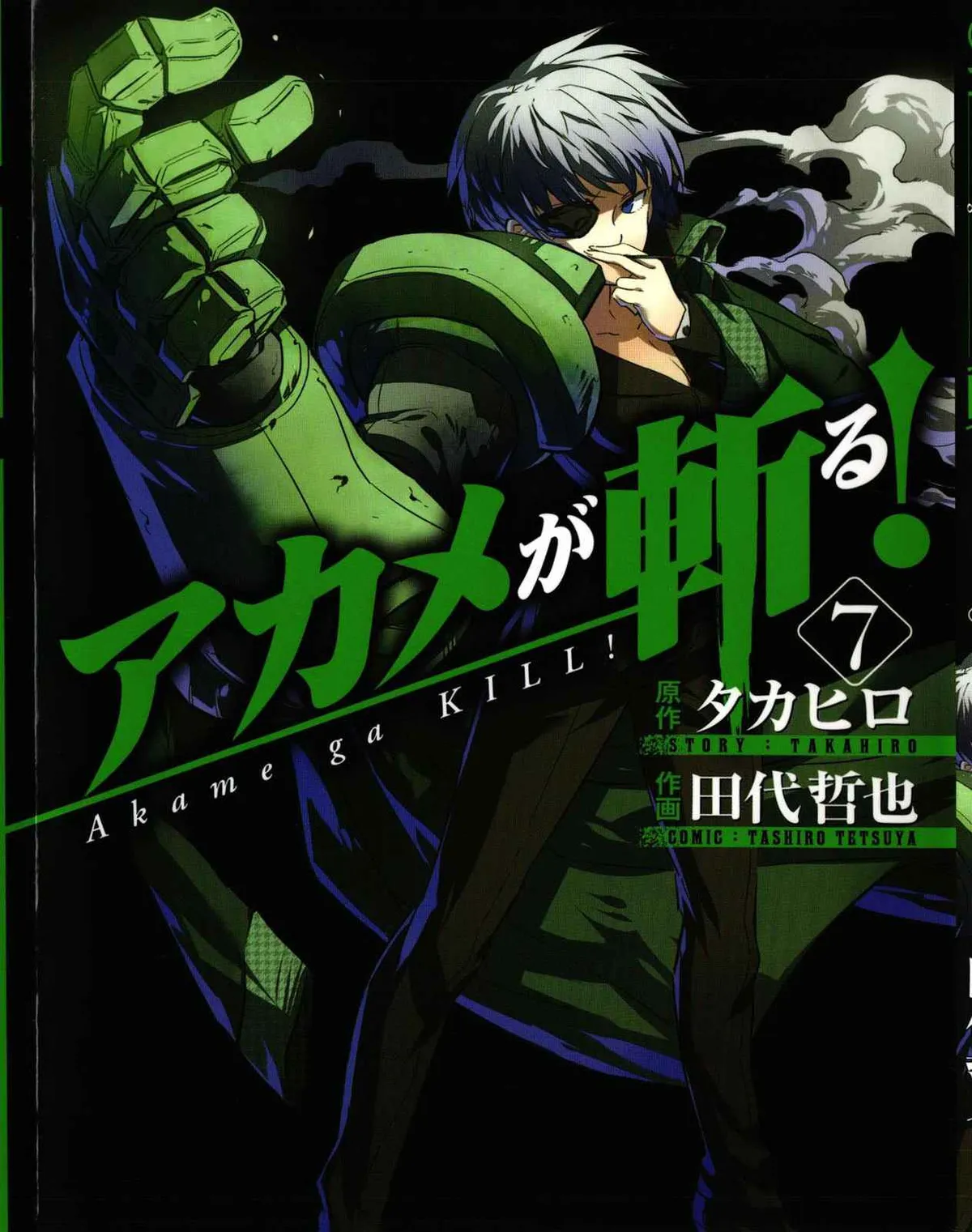 Akame ga Kill! Capítulo 29 en Línea - página 1