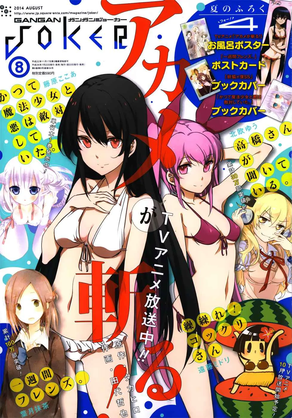 Akame ga Kill! Capítulo 51 en Línea - página 1