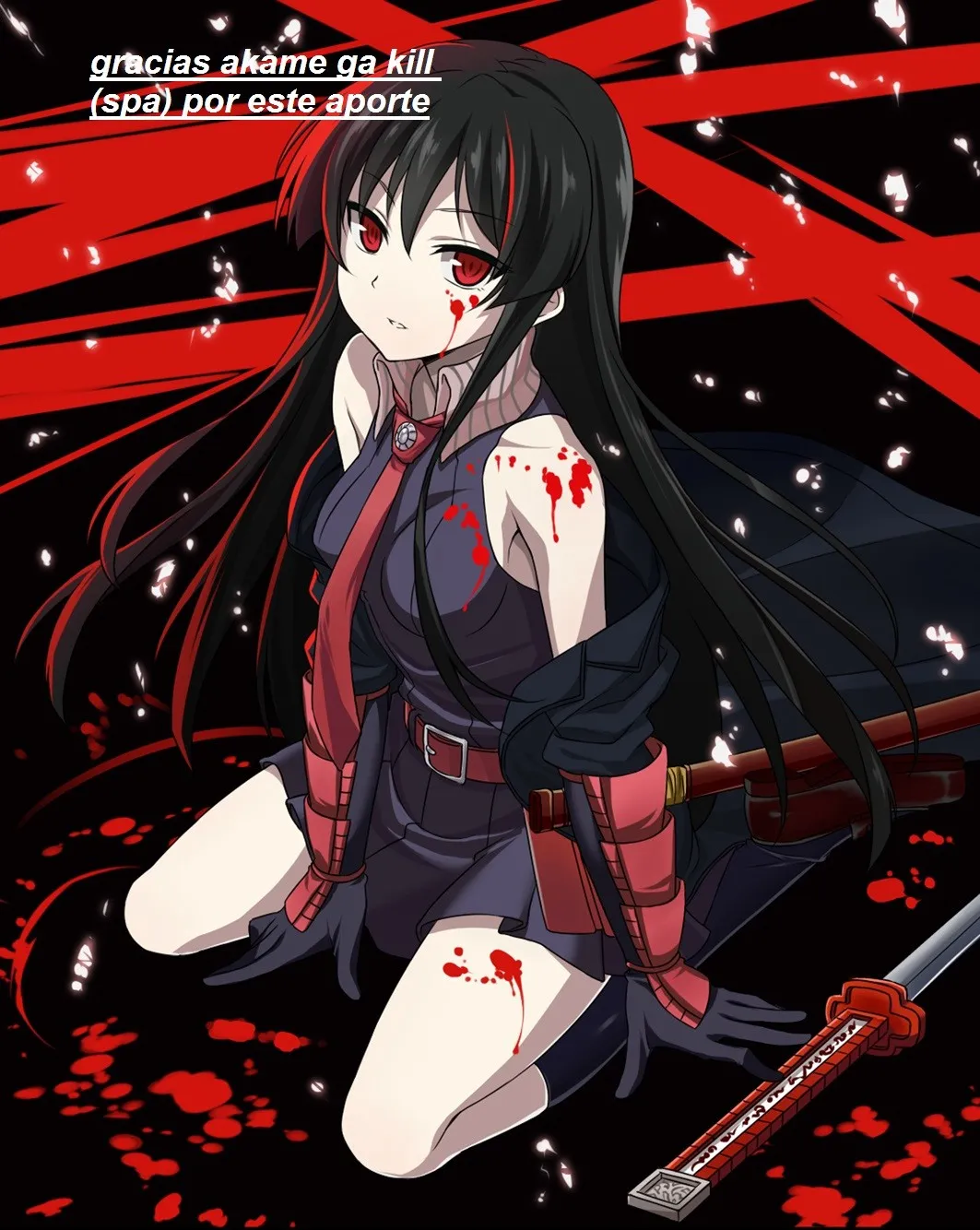 Akame ga Kill! Capítulo 53.05 en Línea - página 1