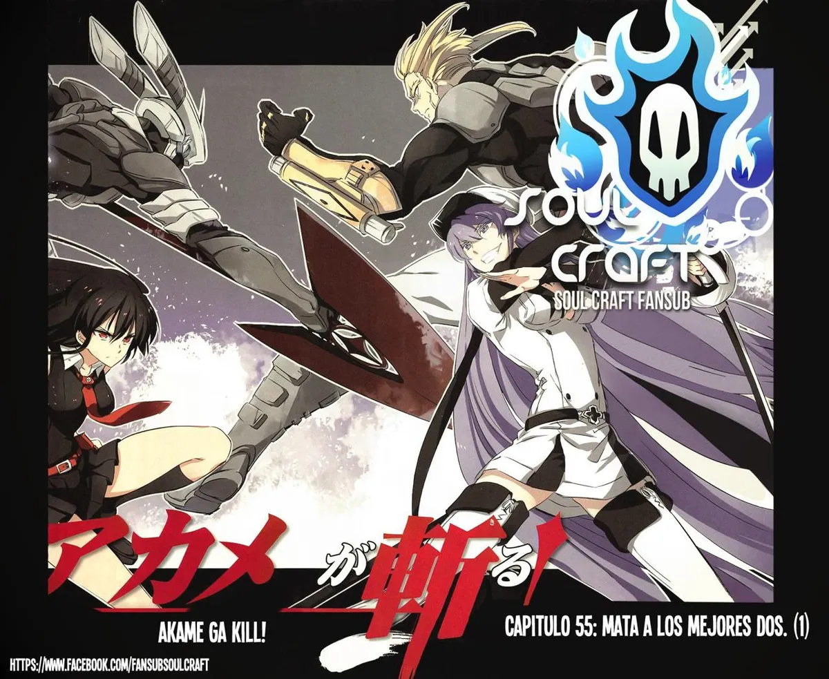 Akame ga Kill! Capítulo 55 en Línea - página 1