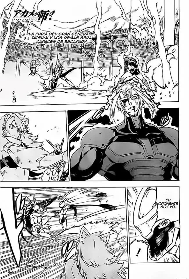 Akame ga Kill! Capítulo 56 en Línea - página 1