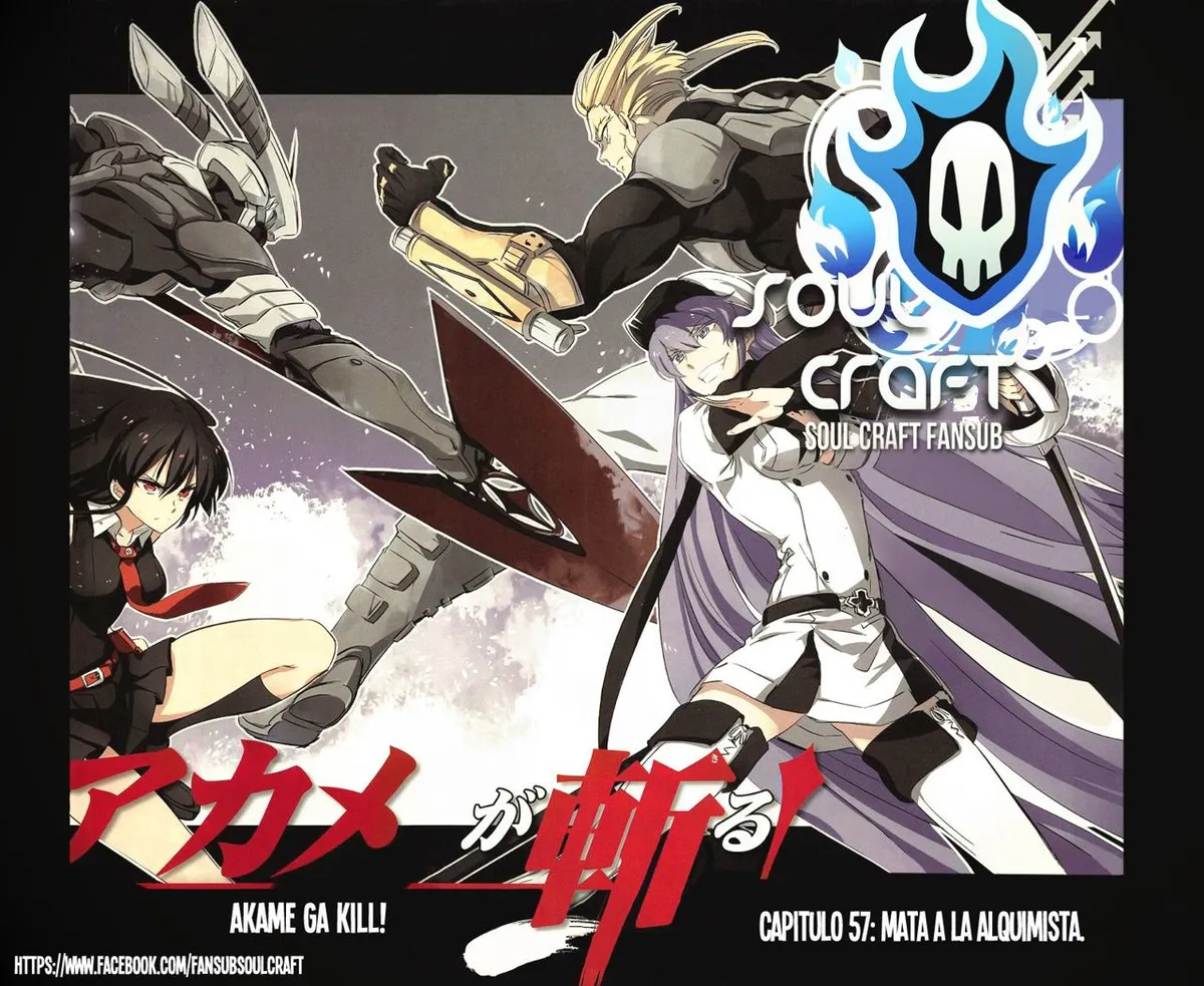 Akame ga Kill! Capítulo 57 en Línea - página 1