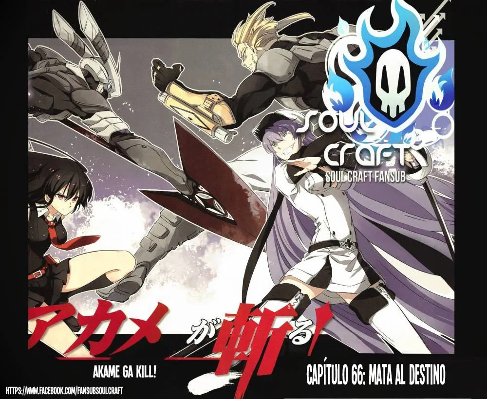 Akame ga Kill! Capítulo 66 en Línea - página 1
