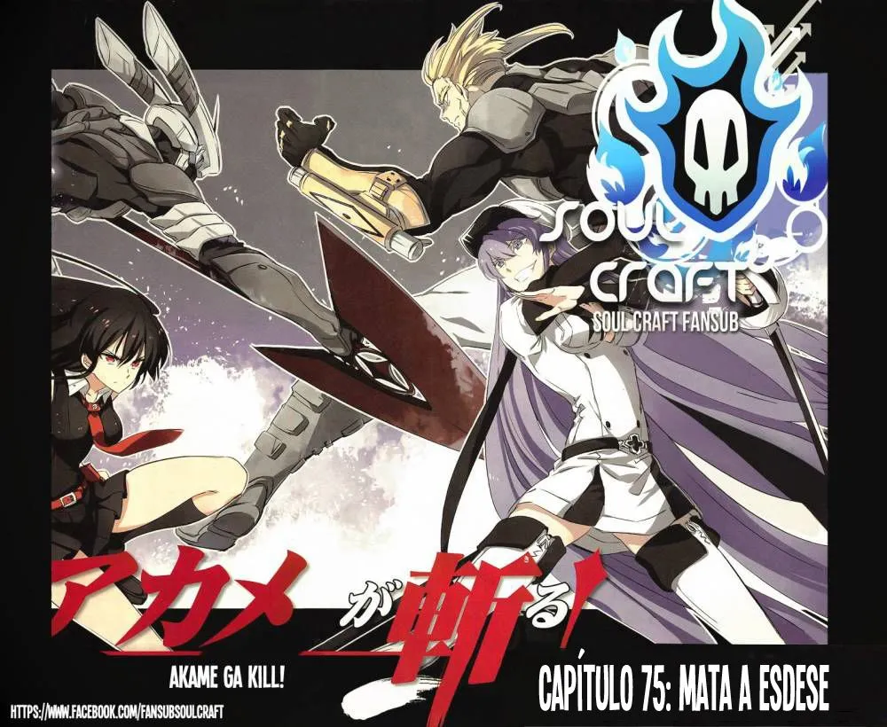 Akame ga Kill! Capítulo 75 en Línea - página 1