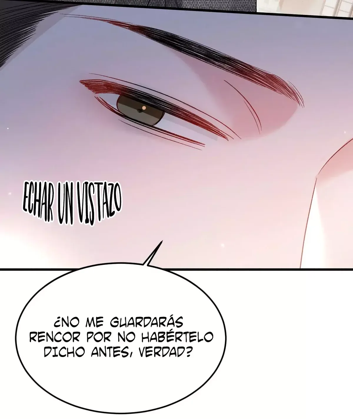 Amado Tormento Capítulo 117 en Línea - página 12