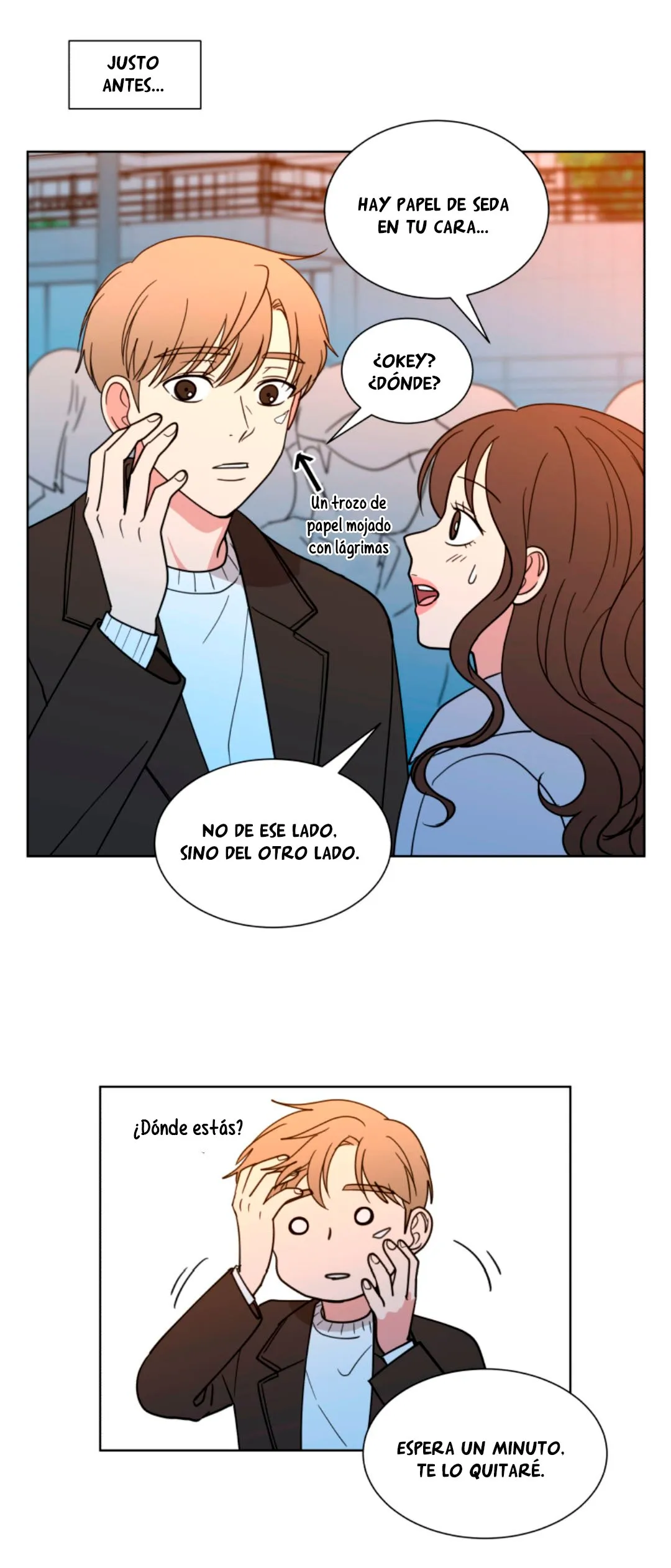 Amor que solo yo sé Capítulo 41 en Línea - página 9
