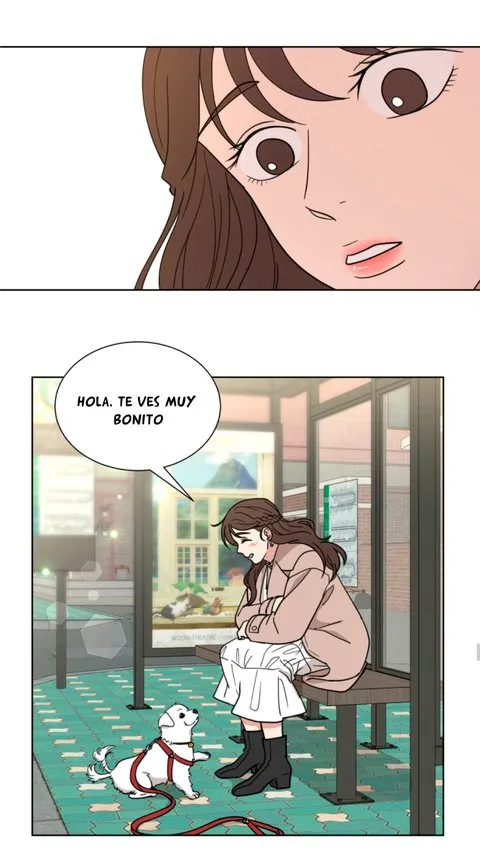Amor que solo yo sé Capítulo 43 en Línea - página 20