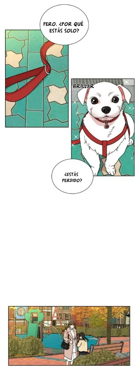 Amor que solo yo sé Capítulo 43 en Línea - página 21