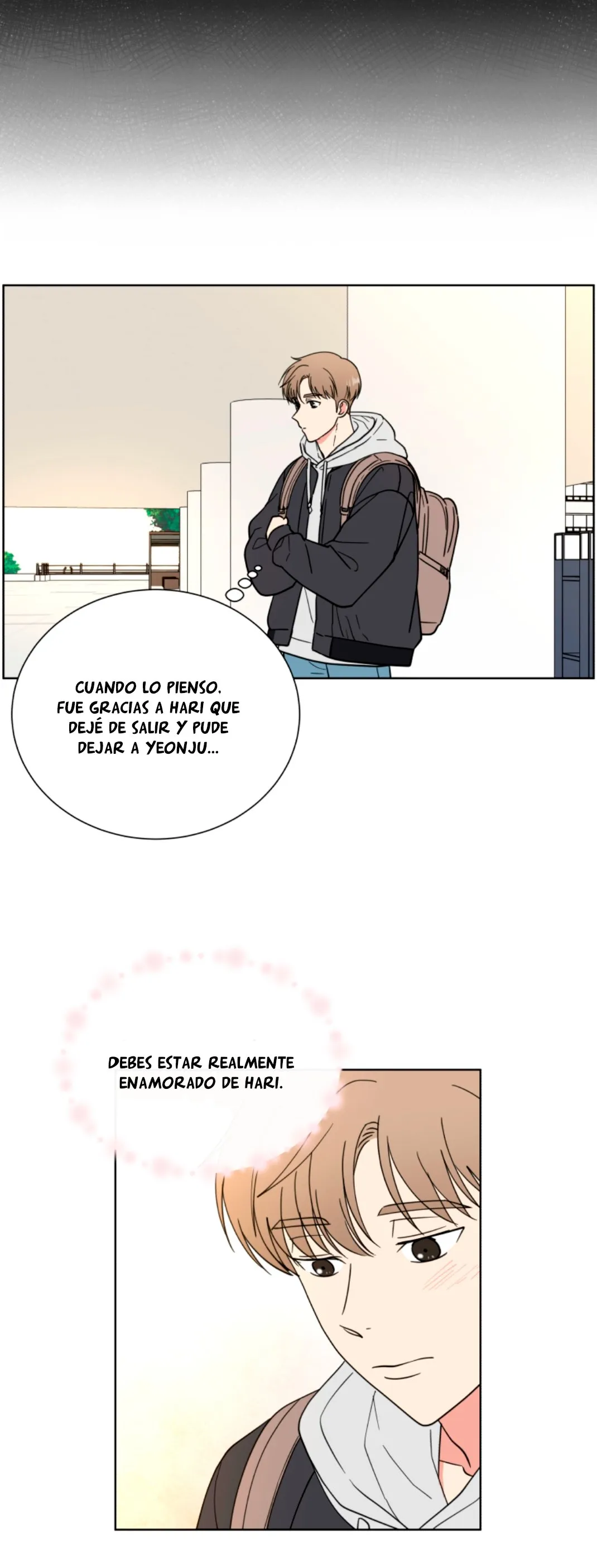 Amor que solo yo sé Capítulo 46 en Línea - página 22