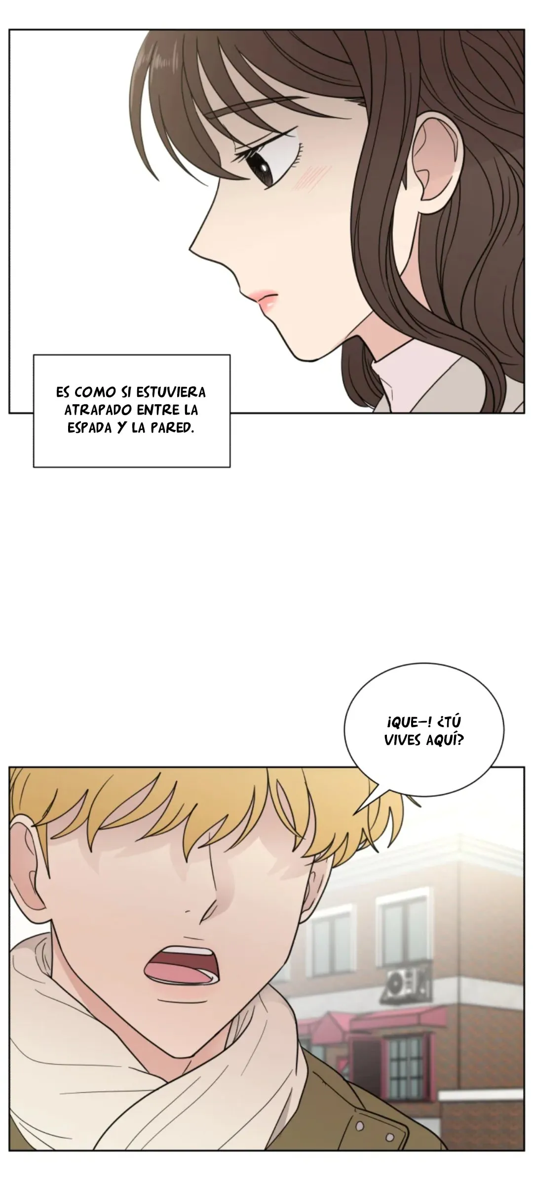 Amor que solo yo sé Capítulo 91 en Línea - página 5