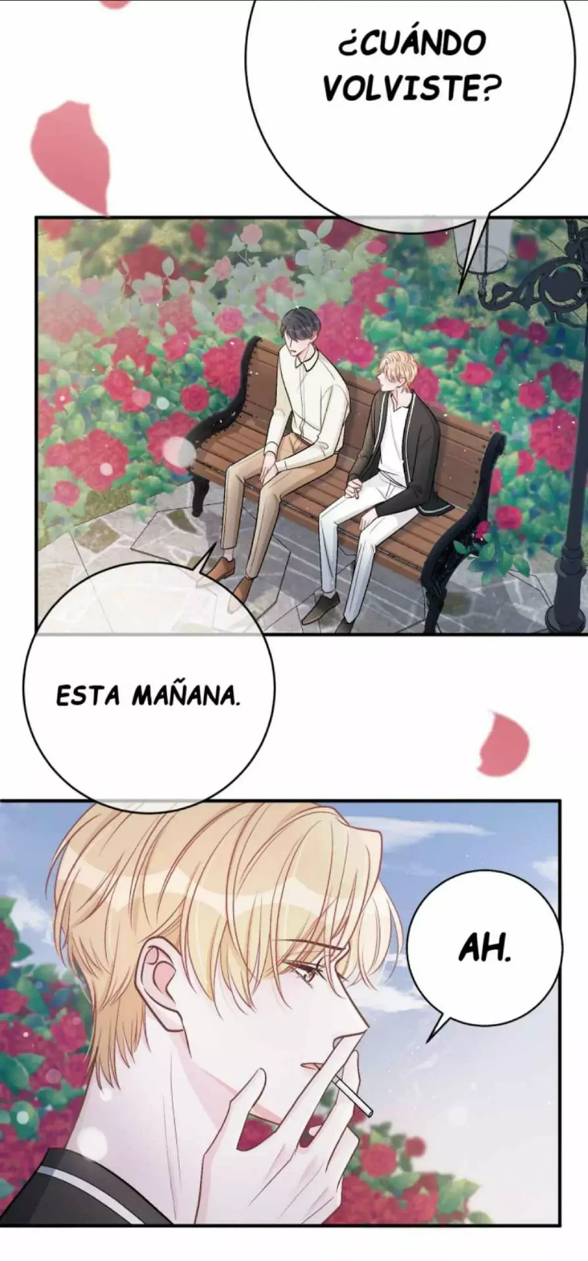 Antes y Después del Divorcio Capítulo 41 en Línea - página 24