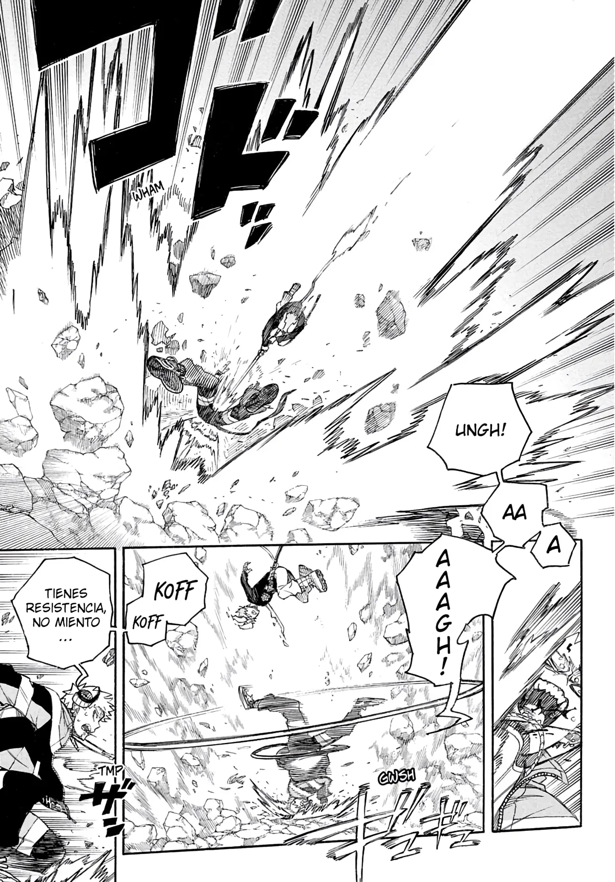 Ao no Exorcist Capítulo 167 en Línea - página 13