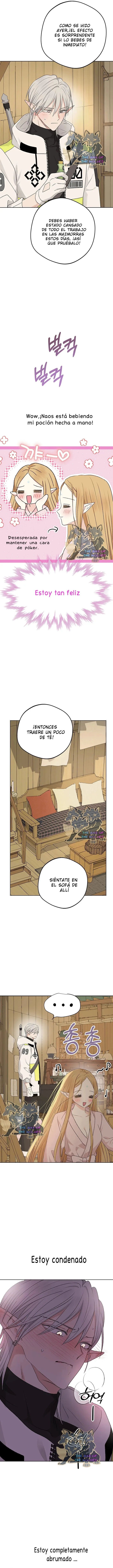 Apareamiento De Elfos Capítulo 10 en Línea - página 7
