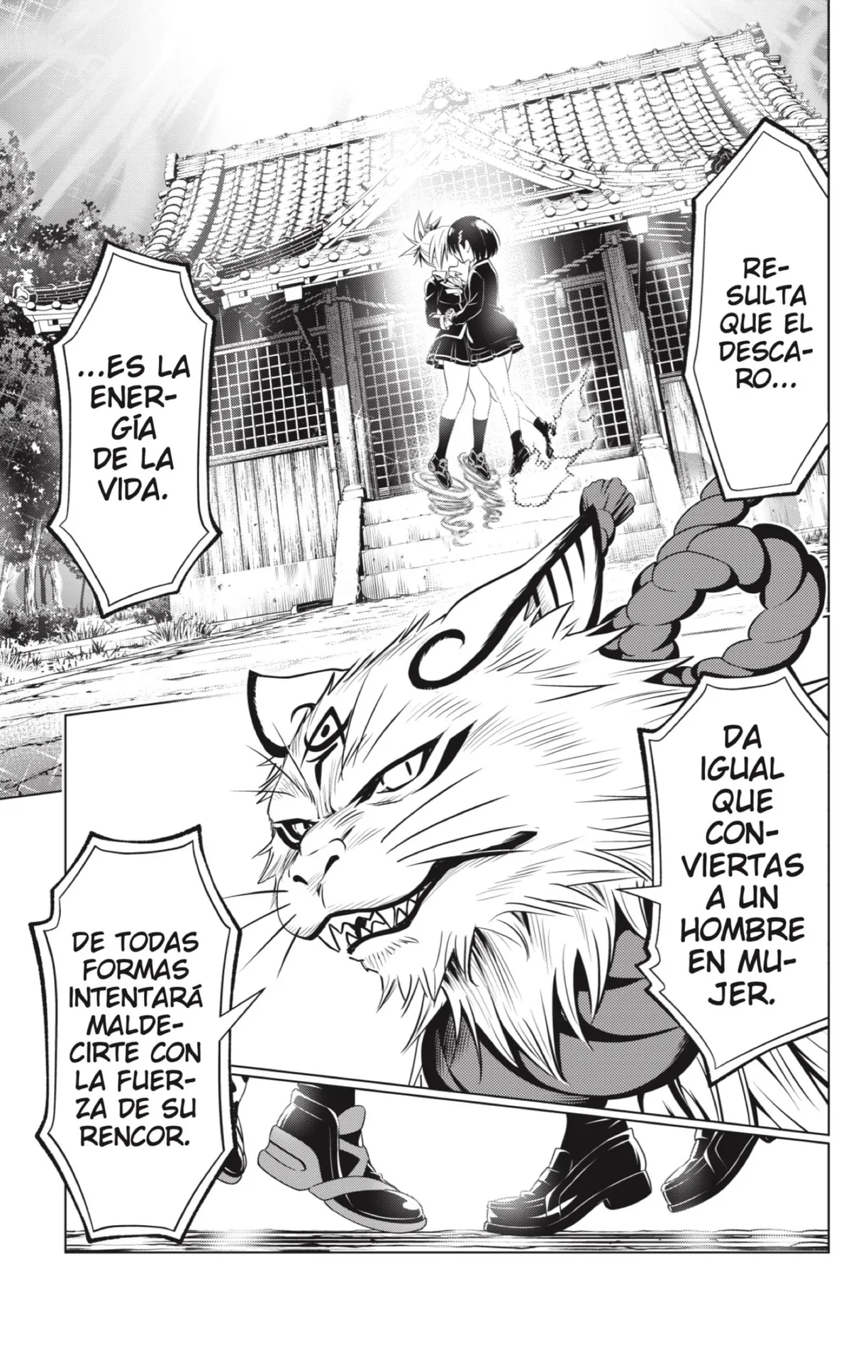 Ayakashi Triangle Capítulo 142 en Línea - página 11