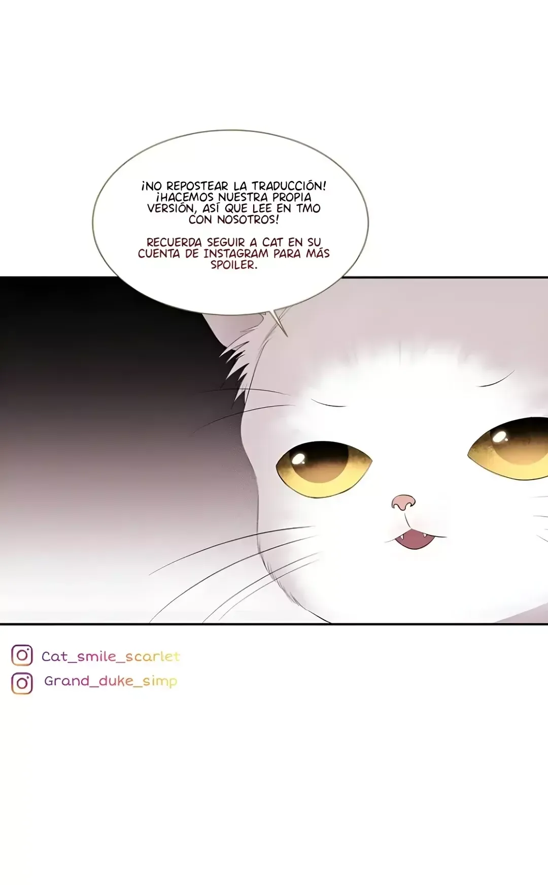 BLACK HAZE (2024) Capítulo 0 en Línea - página 13