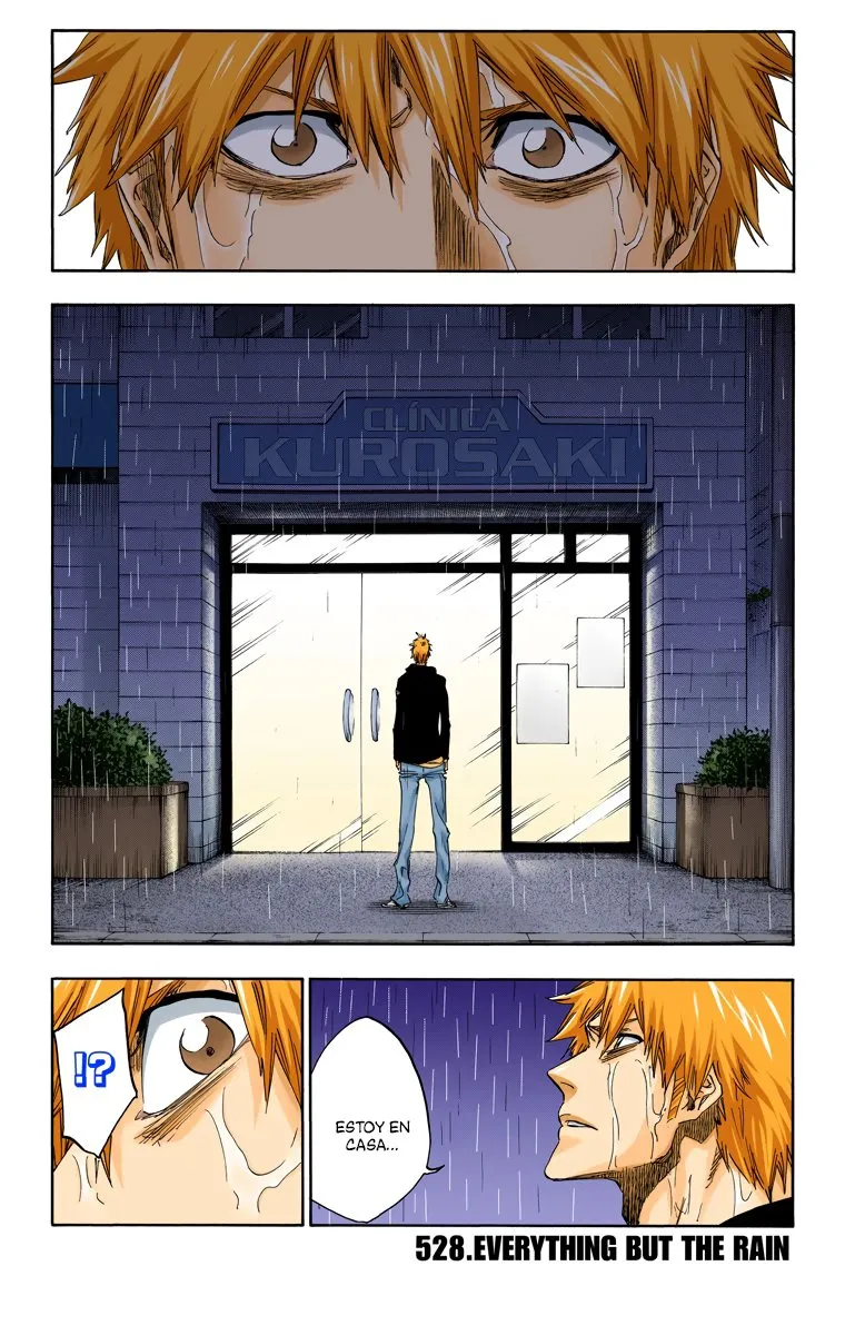 Bleach Full Color Capítulo 528 en Línea - página 1
