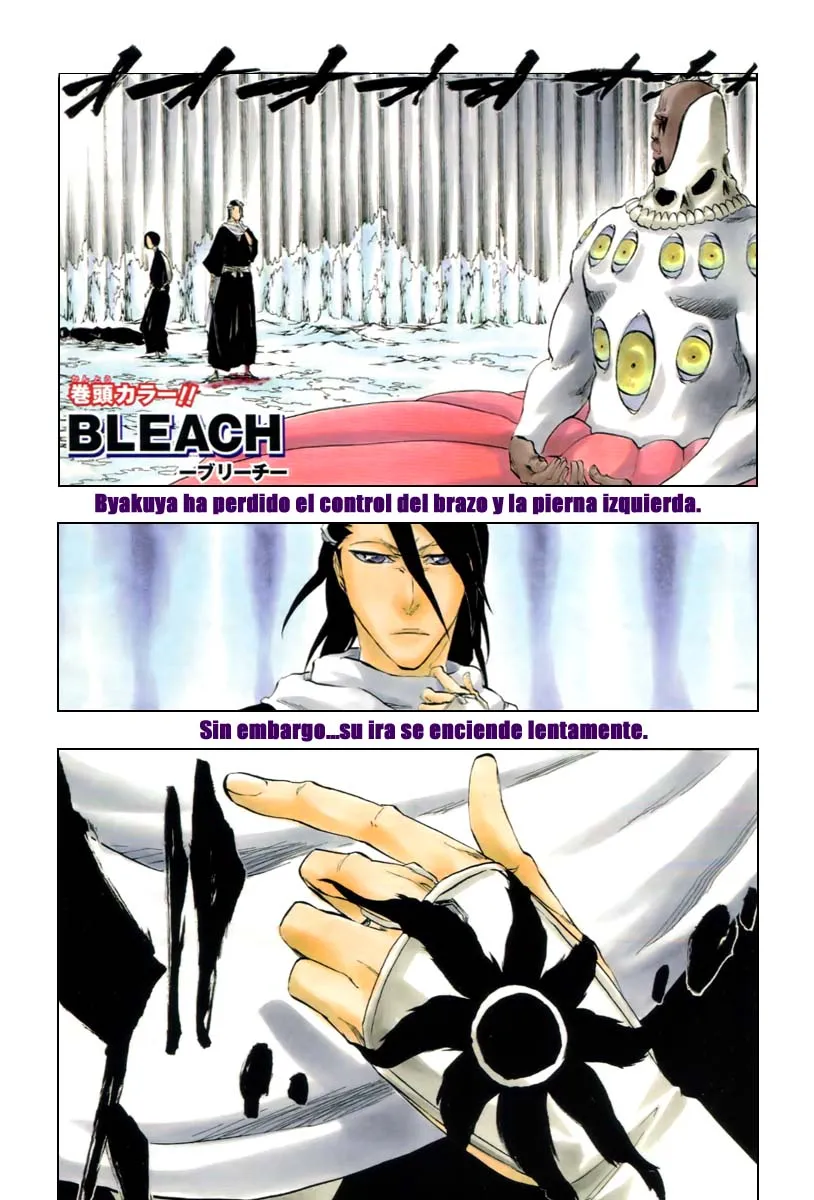 Bleach Capítulo 301 en Línea - página 1