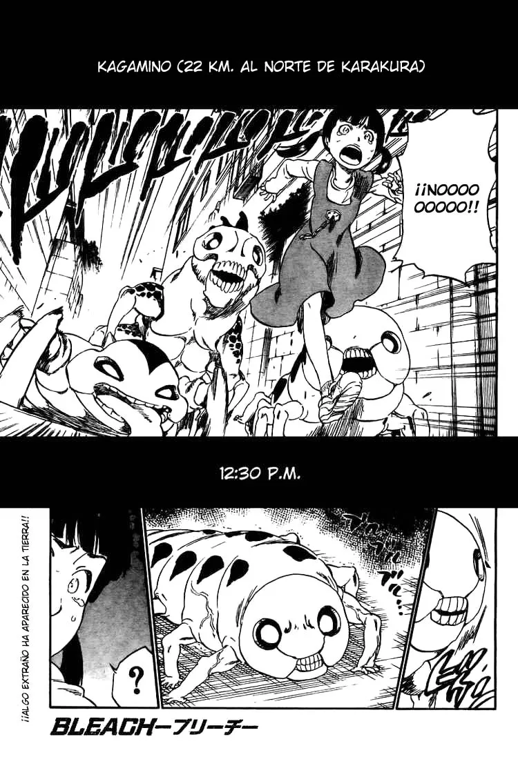 Bleach Capítulo 316 en Línea - página 1
