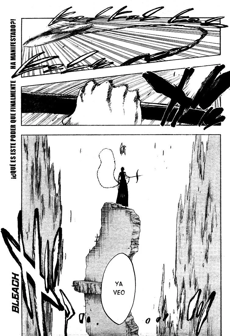 Bleach Capítulo 325 en Línea - página 1
