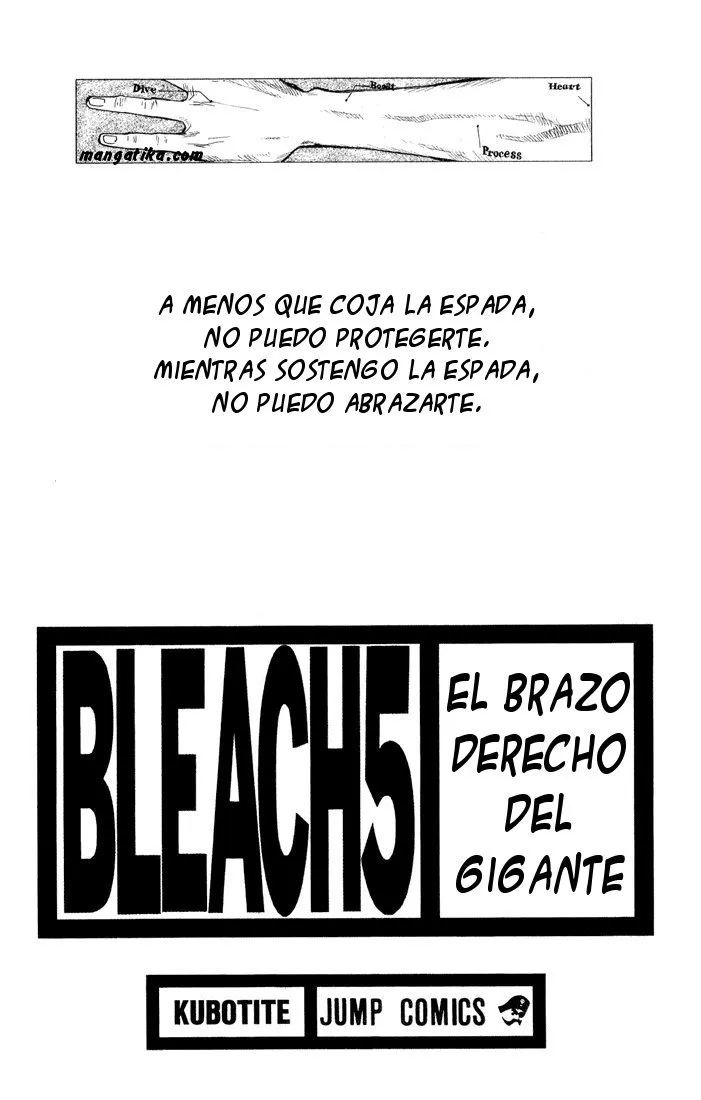Bleach Capítulo 35 en Línea - página 1
