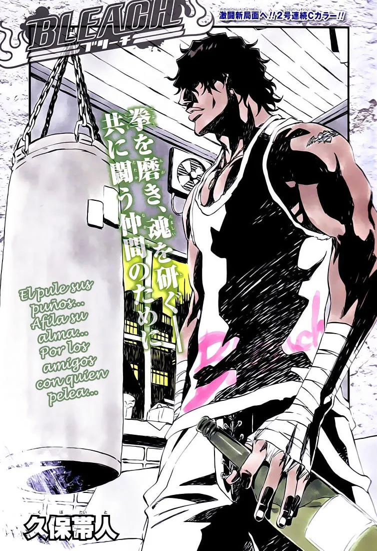 Bleach Capítulo 363 en Línea - página 1