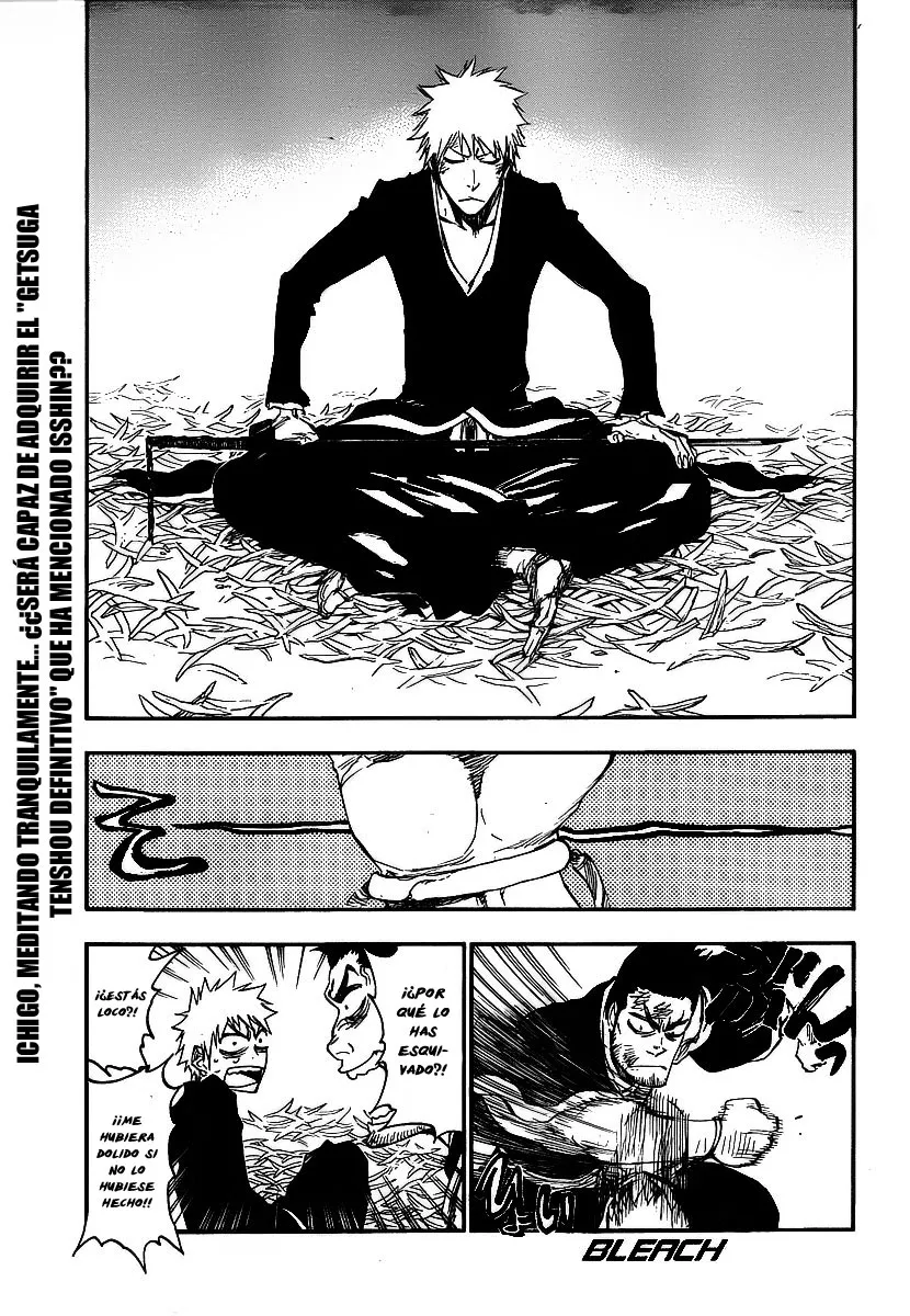 Bleach Capítulo 408 en Línea - página 1