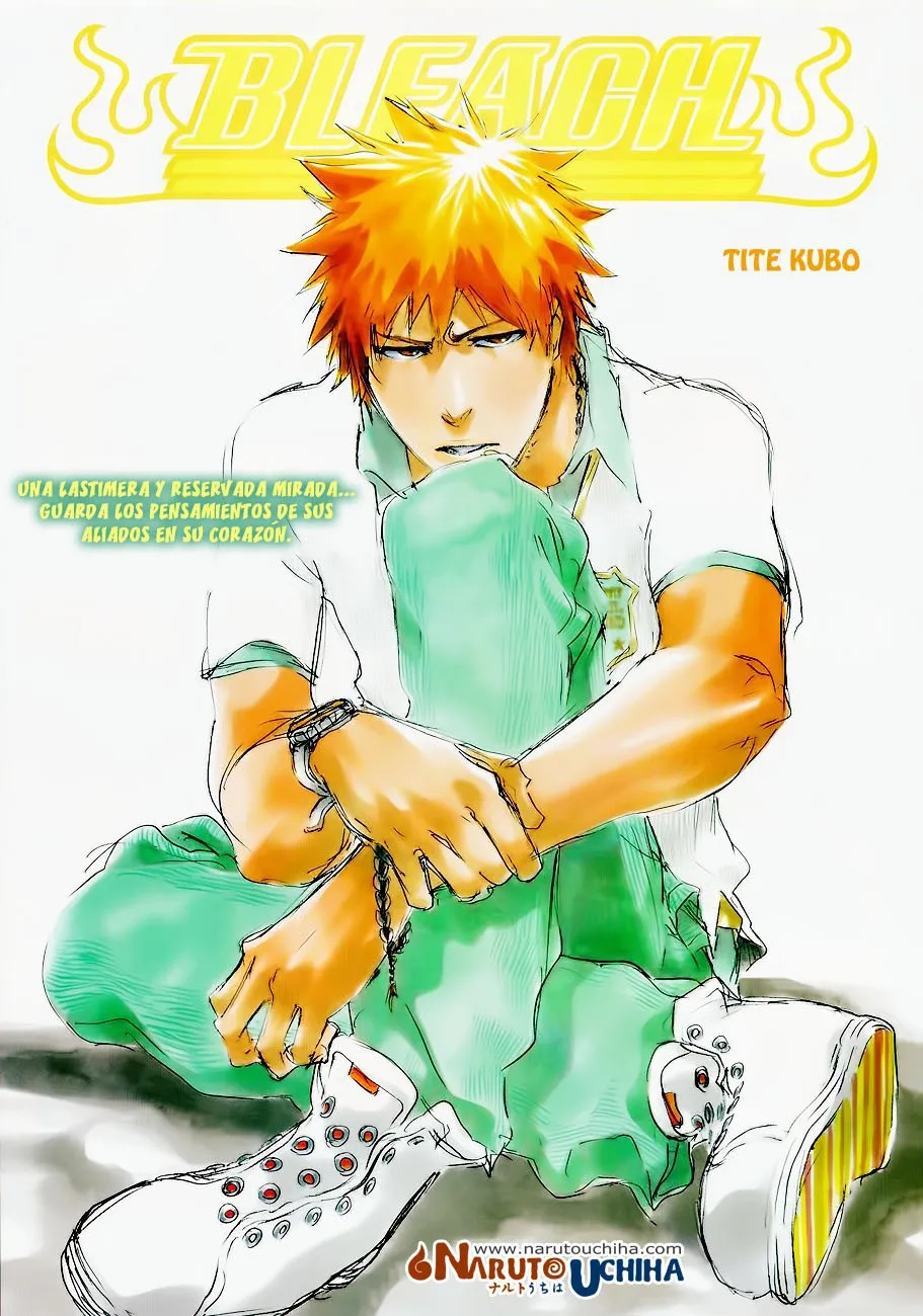 Bleach Capítulo 411 en Línea - página 1