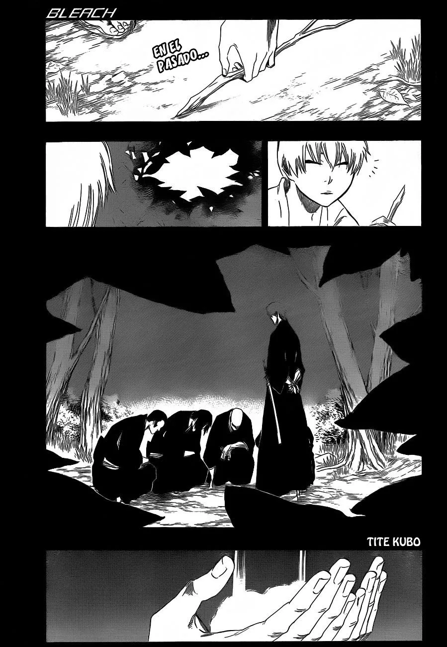 Bleach Capítulo 415 en Línea - página 1