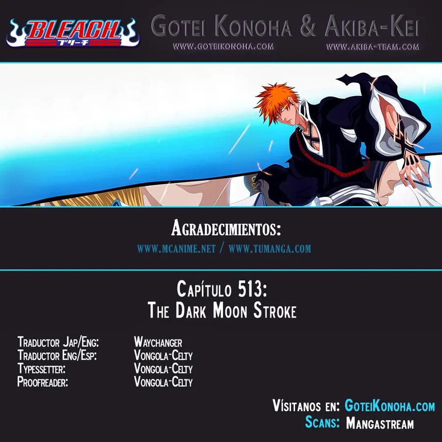 Bleach Capítulo 513 en Línea - página 1