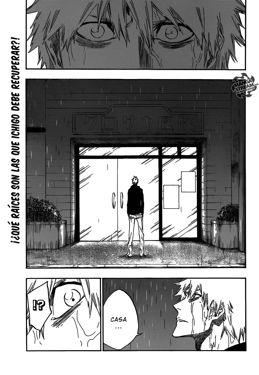 Bleach Capítulo 528 en Línea - página 1