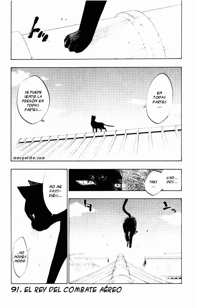 Bleach Capítulo 91 en Línea - página 1