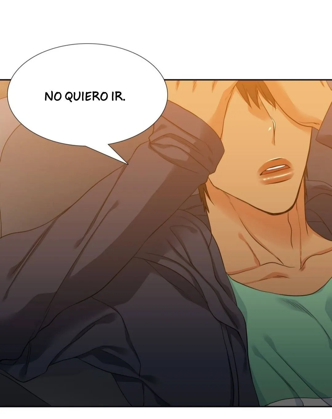 Boy Concubine Capítulo 31 en Línea - página 30