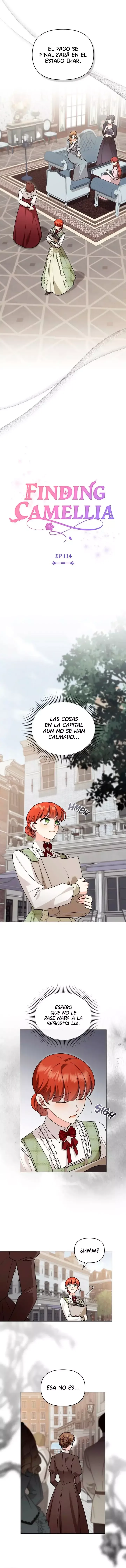 Buscando a Camellia Capítulo 114 en Línea - página 4