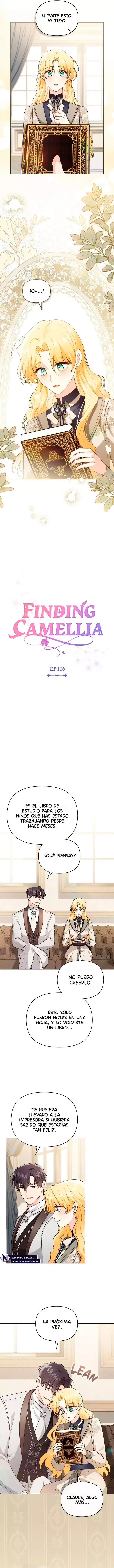 Buscando a Camellia Capítulo 116 en Línea - página 3
