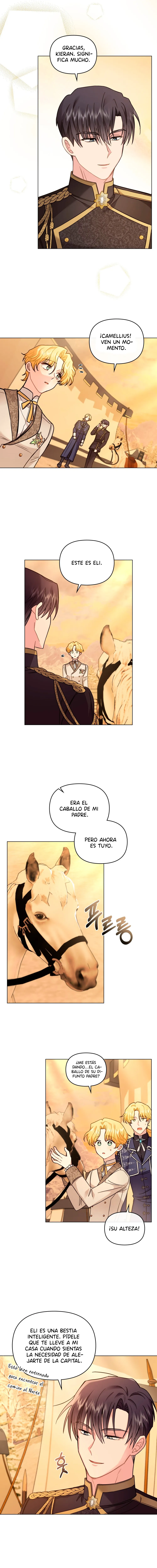 Buscando a Camellia Capítulo 71 en Línea - página 12