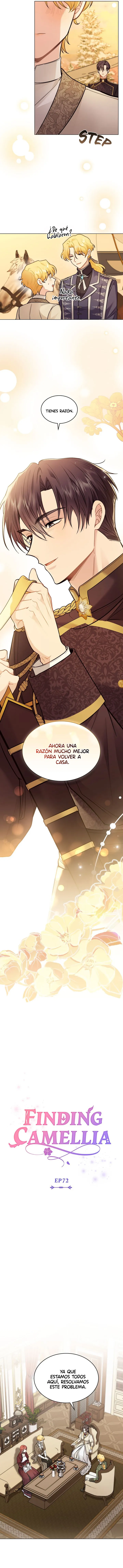 Buscando a Camellia Capítulo 72 en Línea - página 4