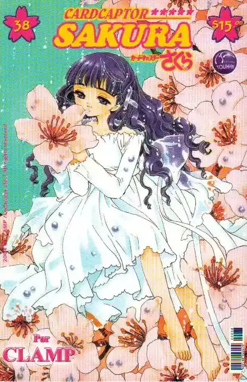 Cardcaptor Sakura Capítulo 38 en Línea - página 1