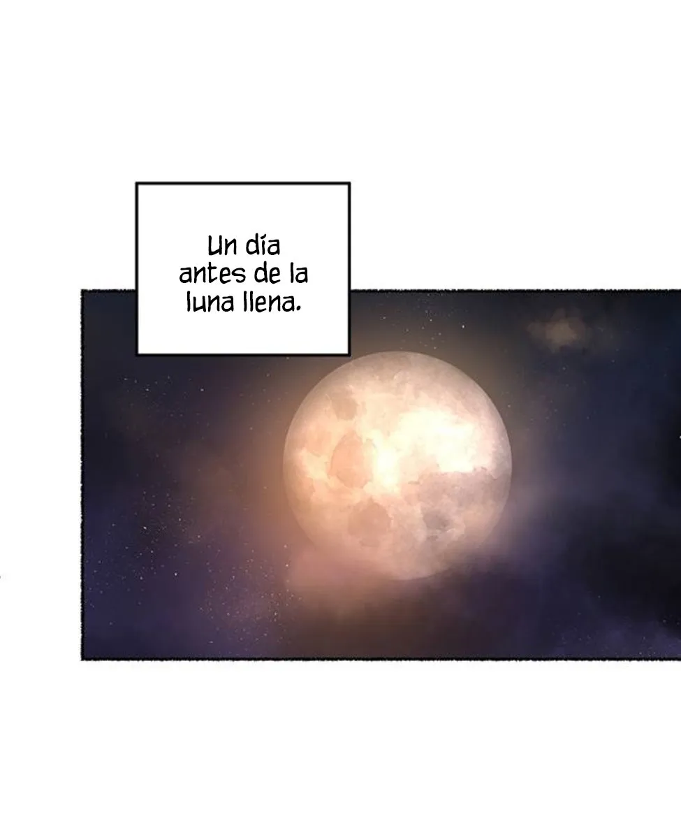 Como el viento en una rama seca Capítulo 12 en Línea - página 89