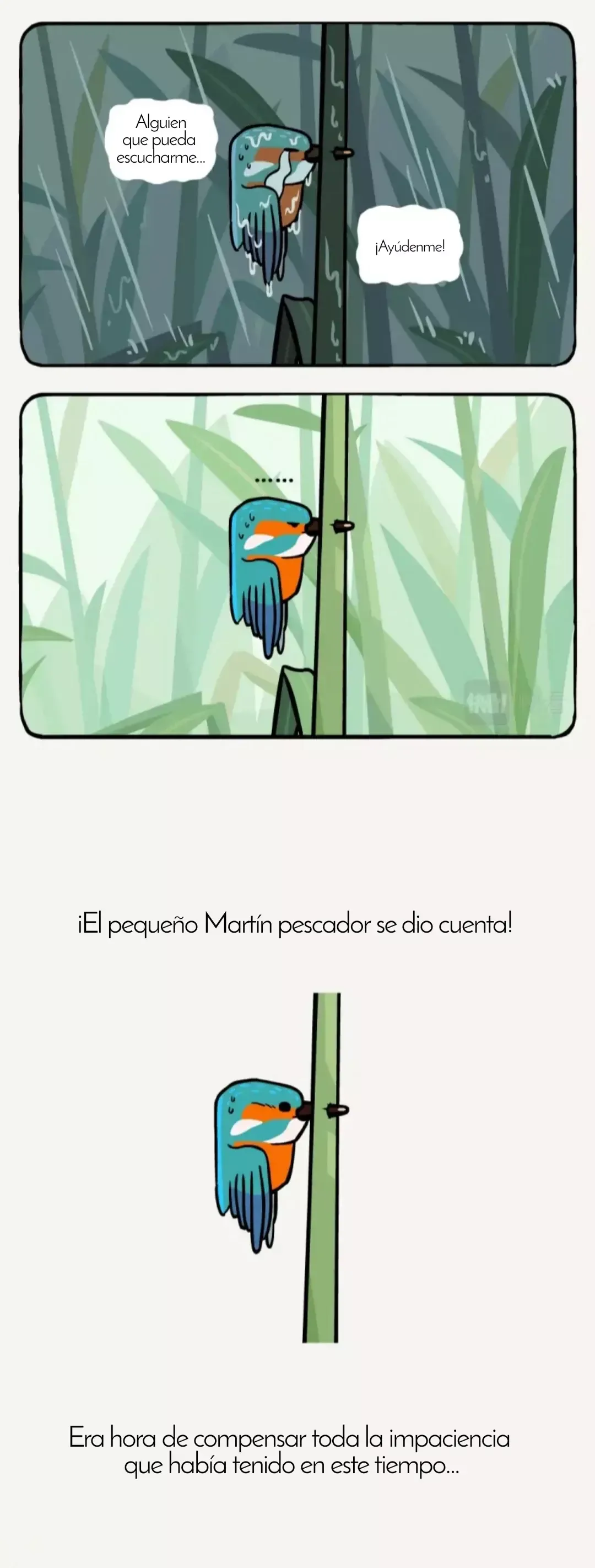 Compañeros de Bambú Capítulo 25 en Línea - página 9
