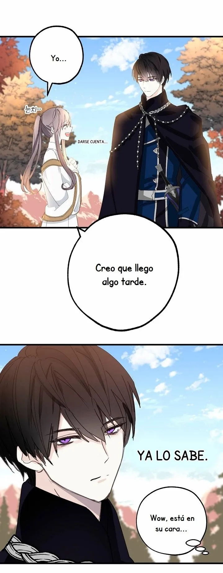 Confesión Equivocada Capítulo 15 en Línea - página 17