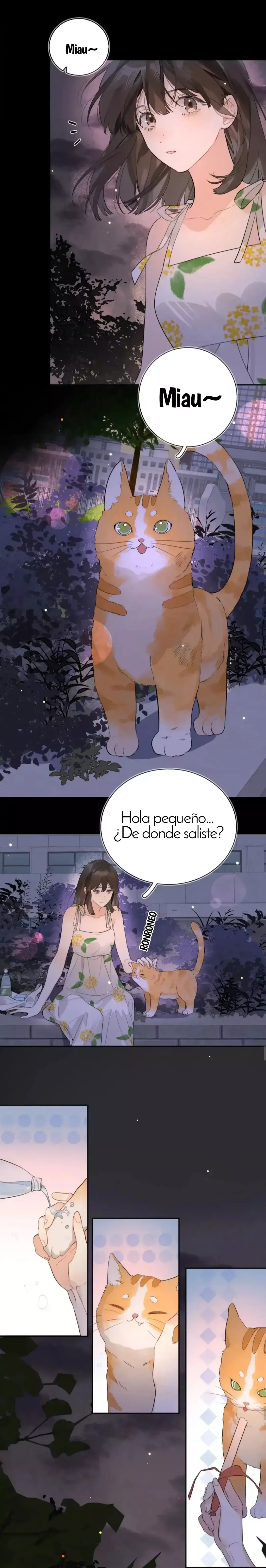CONFESIÓN Capítulo 9 en Línea - página 10