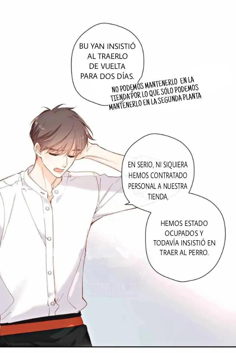 Contigo de Nuevo Capítulo 134 en Línea - página 10