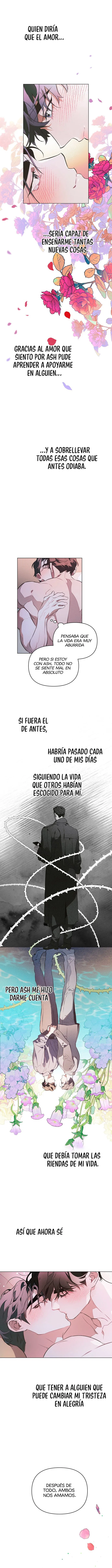 Define la relación Capítulo 85 en Línea - página 12