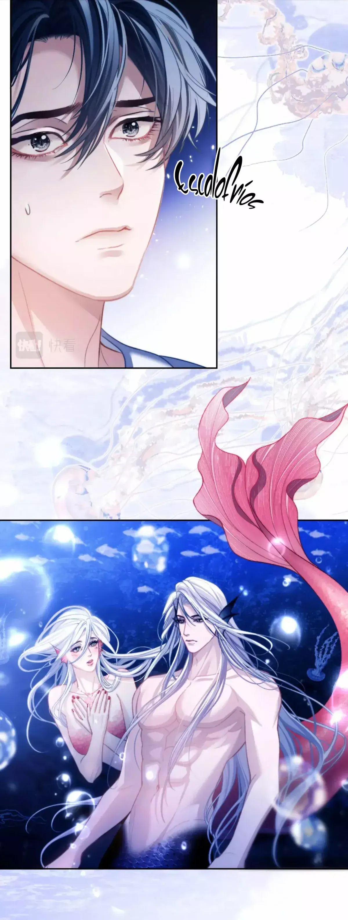 Desharow Mermaid Capítulo 12 en Línea - página 17