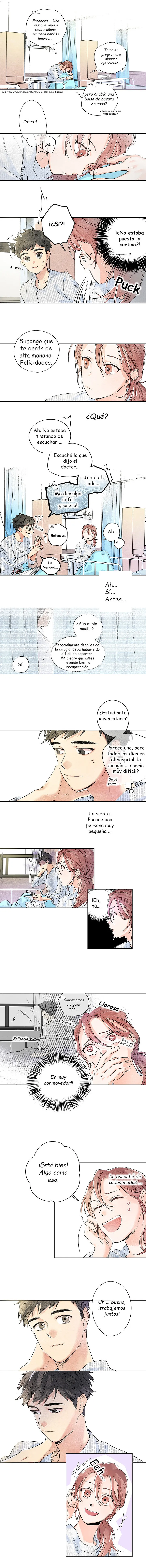 Deslumbrante Capítulo 2 en Línea - página 6