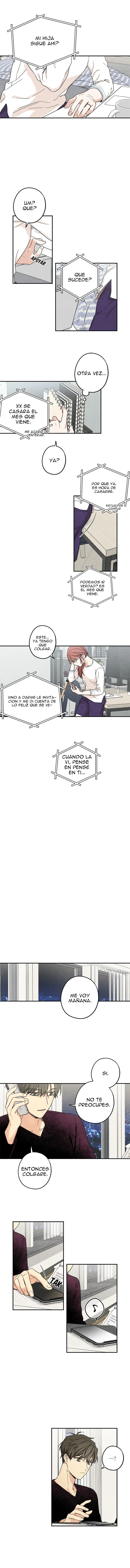 Deslumbrante Capítulo 51 en Línea - página 5